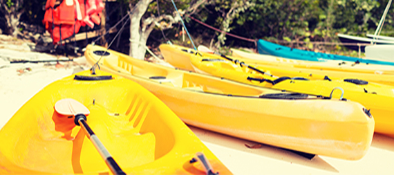 UV Absorber and Light Stabilizer