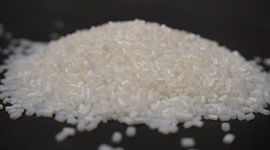 product_masterbatch_1