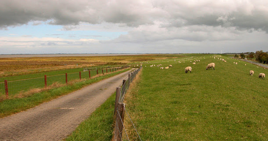 news--artikel-detail Wadah Makmur Kencana - Functionalized Silica Fillers for Advance Applications