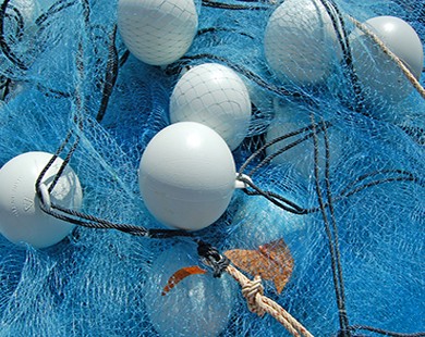 monofilament-4 Monofilament